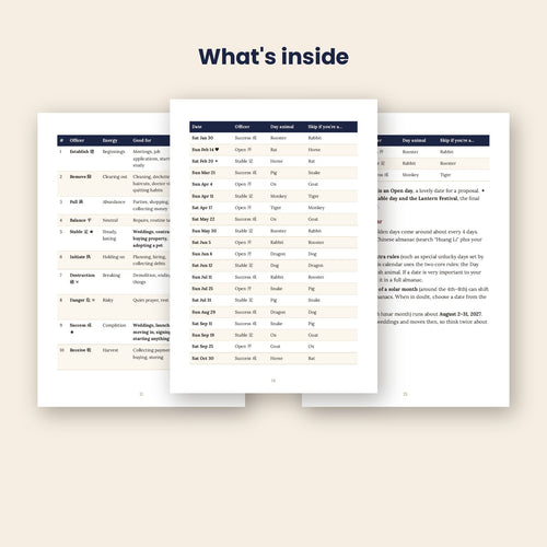 Inside pages of The Lucky Day Oracle 2027
