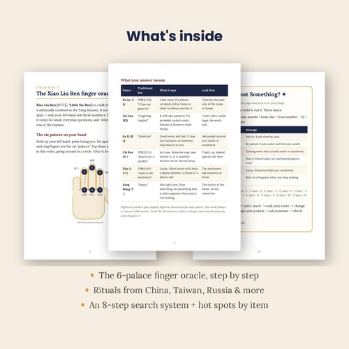 Inside pages of The Lost & Found Oracle